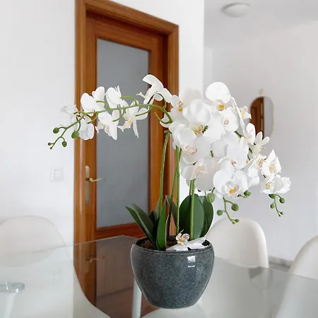 Atico Duplex En Malaga Apartment Exterior photo
